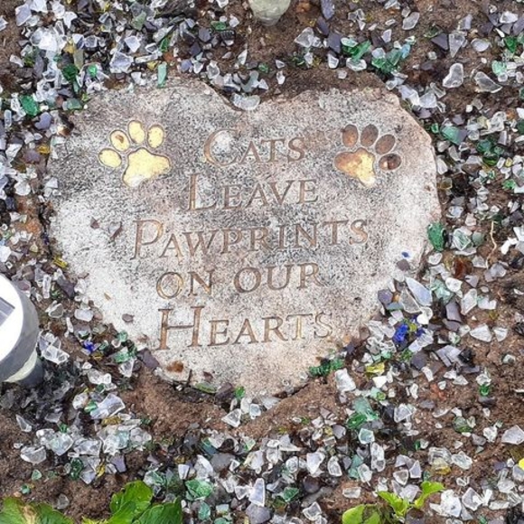 Meet your Posher, Ramona - Picture 1 of 1